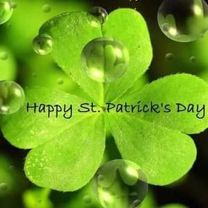 Meet your Posher, Bee